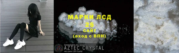 шишки Володарск