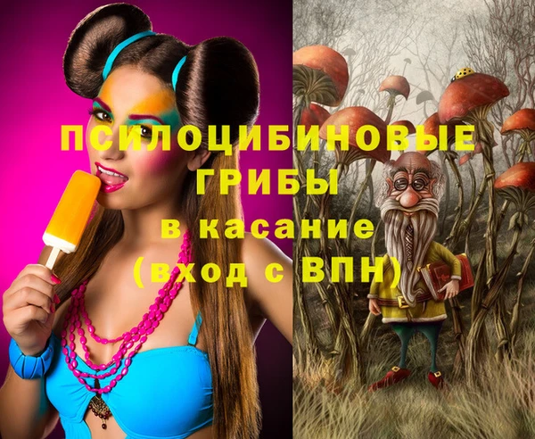 шишки Володарск